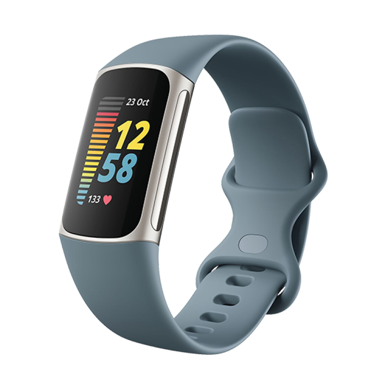 Watch Fitbit  Charge 5 - Steel Blue/Platinum EU